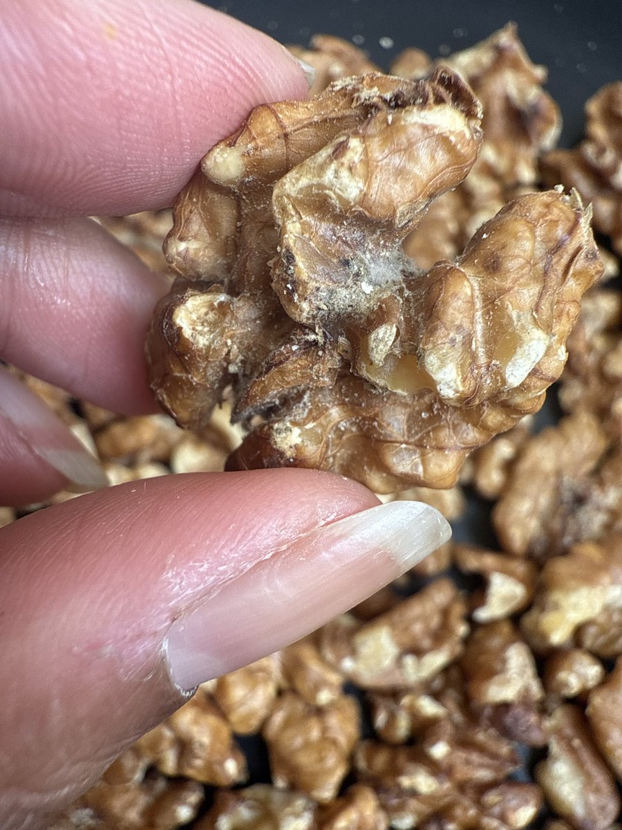 namratac127's tweet photo. Absolutely DISGUSTING service by @Flipkart! 🤬

@FlipkartMinutes delivered rotten, foul-smelling, fungus-infested walnuts from Wonderland, marketed as “Premium Quality.” My family consumed them and we all suffered from vomiting. https://t.co/raj4ngsJii