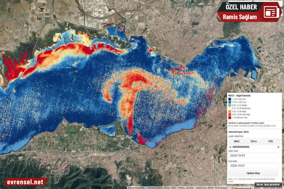 evrenselgzt's tweet photo. Uydu analizleri, İzmir Körfezi'nde alg yoğunluğunun arttığını ortaya koydu. Gediz Nehri'nde ise bazı ağır metal değerlerinin normal seviyelerin 100 ila 200 katına ulaştığı belirlendi. Uzmanlar, kirliliğe karşı etkin izleme ve müdahale çağrısı yaptı

Ramis Sağlam'ın haberi

https://t.co/gmkgoyBHDJ