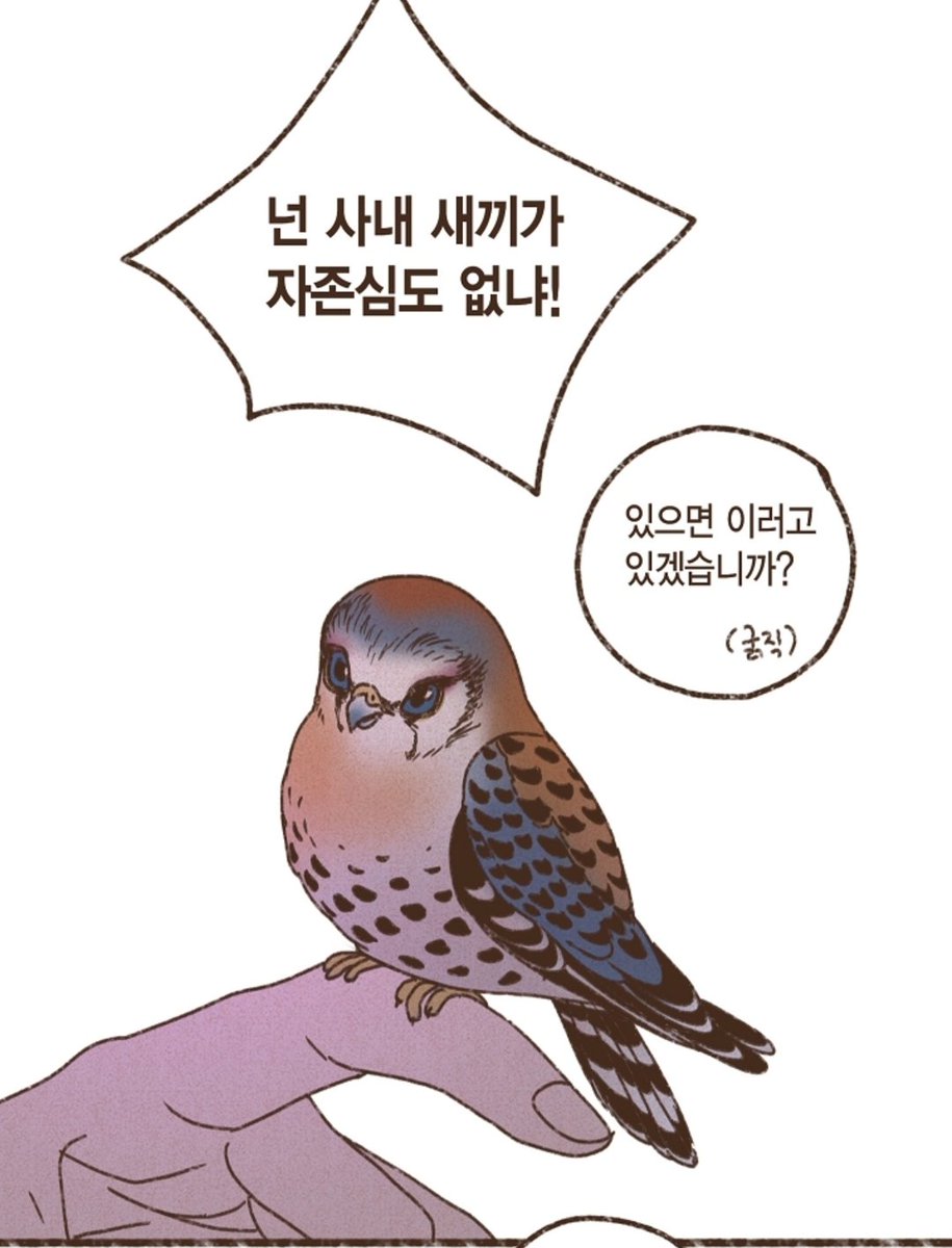 Shallhi22's tweet photo. 이게 호루스는 큰맘먹고 삼촌에게 이쁨 받으려고 그 큰덩치를 이 쪼꼬마난 새로 바꿔서 애교 한번 부렸는데 세트는 그냥 다 큰놈이 징그럽게 무슨;; 이라는게 진짜 개웃김... 조카에게만 너무 빡빡한 삼촌 https://t.co/LmQJ1FZ8mW