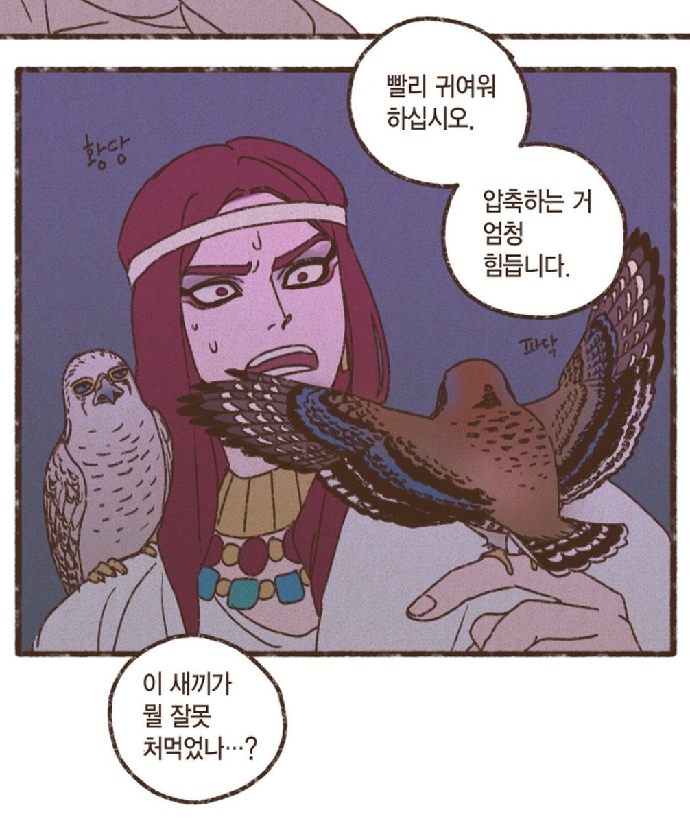 Shallhi22's tweet photo. 이게 호루스는 큰맘먹고 삼촌에게 이쁨 받으려고 그 큰덩치를 이 쪼꼬마난 새로 바꿔서 애교 한번 부렸는데 세트는 그냥 다 큰놈이 징그럽게 무슨;; 이라는게 진짜 개웃김... 조카에게만 너무 빡빡한 삼촌 https://t.co/LmQJ1FZ8mW