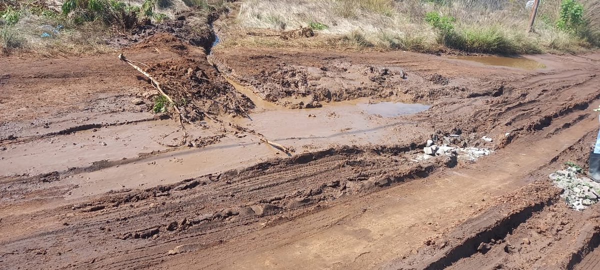 MARTIN_NNONE's tweet photo. @tlangimich @nasiphim @CityTshwane

MMC, we are once again appealing for help at Hammanskraal, Tregena Farm, Ward 76.

This road has been in a terrible state for over a year. Taxis are already refusing to enter the area, and with the rainy season now upon us, children are struggling to get to school and pensioners have to walk long distances for transport.

We’ve been reporting this since May 2025. Please intervene before the road becomes completely impassable again