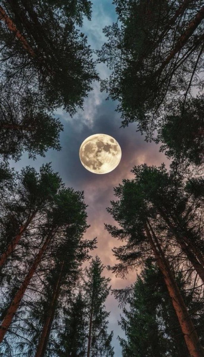 M1ONLOVER's tweet photo. Full Moon https://t.co/oKePeSFwhb