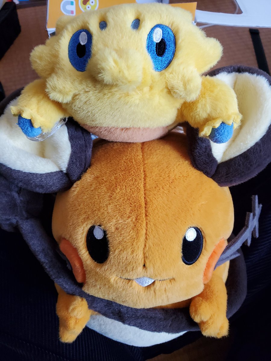 ruy_0212's tweet photo. おででお迎えしました https://t.co/wWZZBLkiDM
