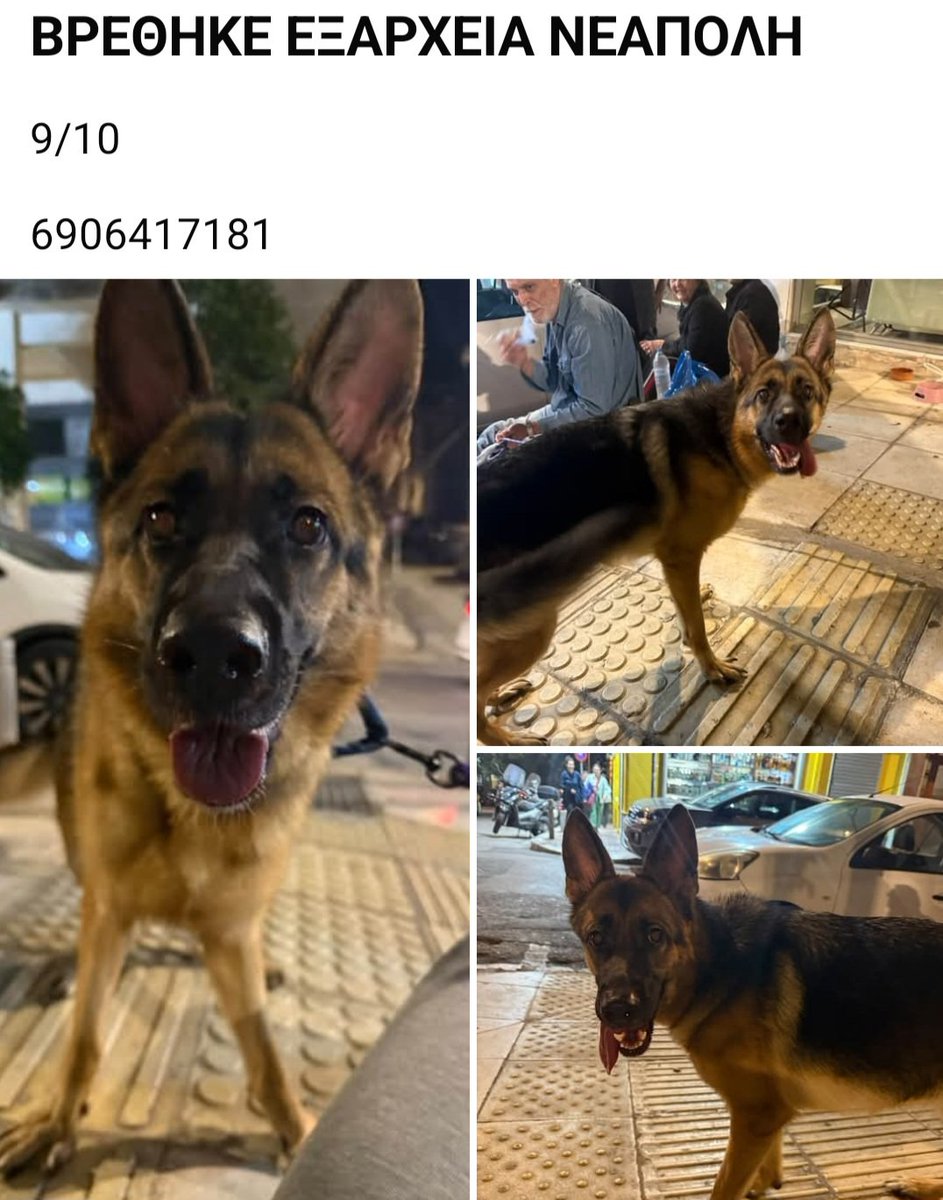 KatKatPt's tweet photo. 🆘️🆘️🆘️
Βρέθηκε Εξάρχεια Νεάπολη 
Το αναζητεί/αναγνωρίζει κανείς;
Rt 🙏 🙏 🙏 https://t.co/11ZgvSSIay