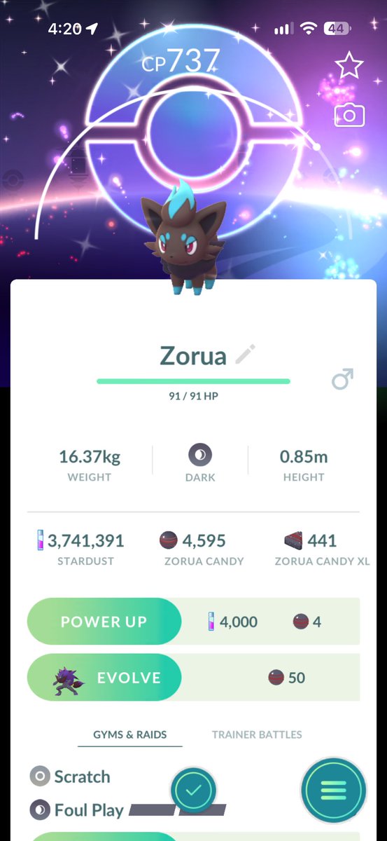 chaospixie6667's tweet photo. My first ever shiny with the background from a comm day. #commday #Pokemon #PokemonGO #shiny https://t.co/XJEmWwJIba