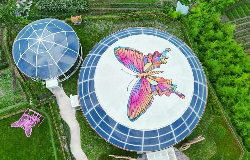 TravelNingbo's tweet photo. Ningbo's first butterfly farm officially opened on September 22, 2026!
Combining butterfly breeding, sightseeing and science education, the farm is home to more than 30 butterfly species . 
#Ningbo #EarlyAutumn #ButterflyFarm #ButterflyBreeding #ScienceEducation #TangxiNingbo https://t.co/OnPngzBbBx