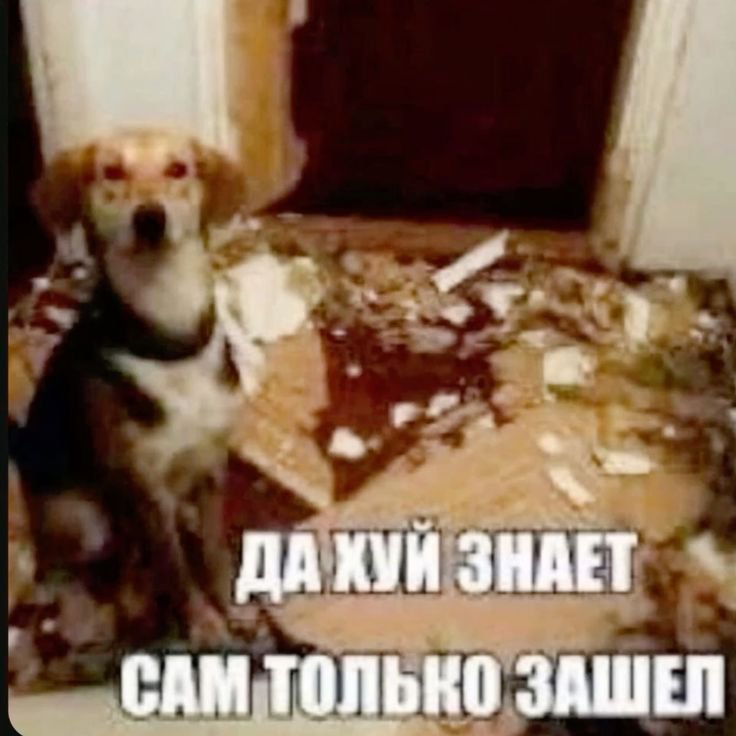 LLENIINNN's tweet photo. Как тут набрать аудиторию? https://t.co/xQerbaFCdg