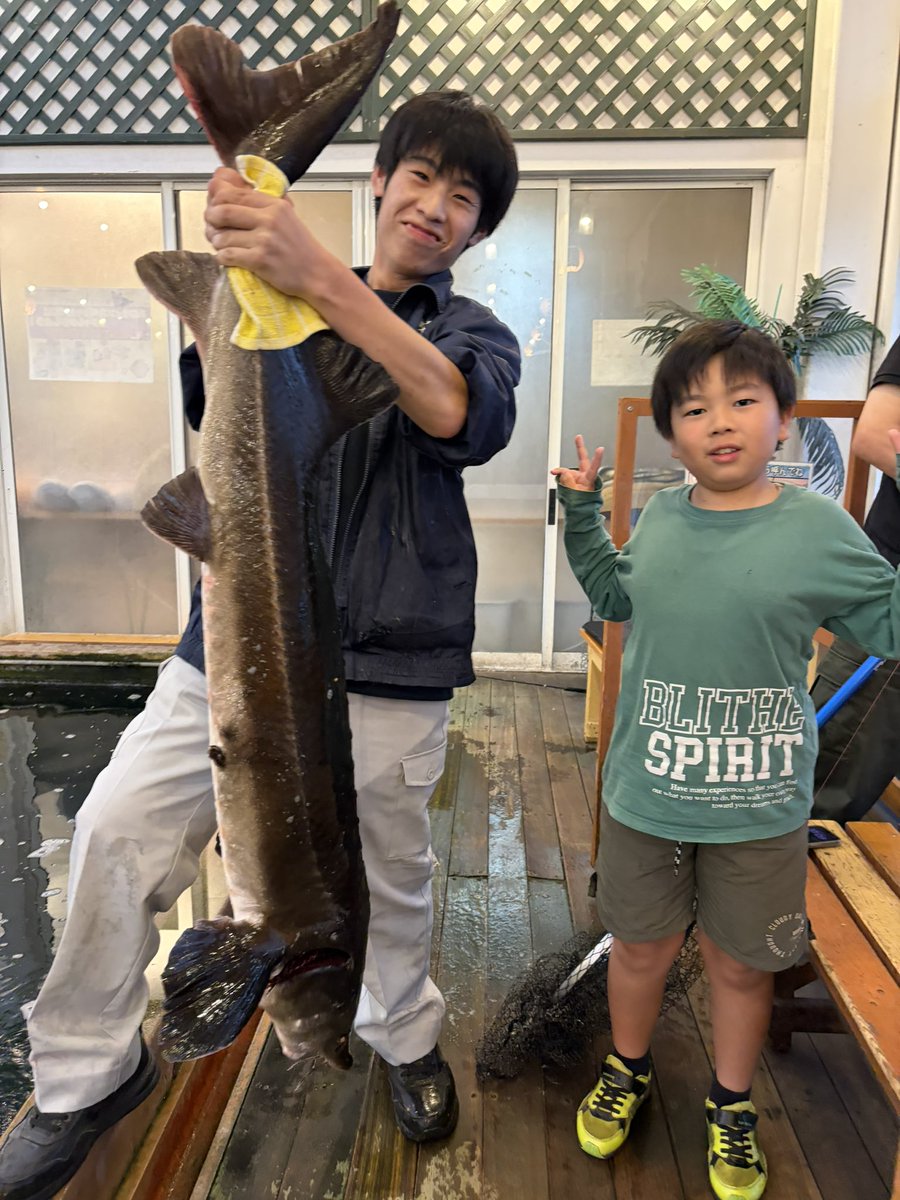 amipanatori's tweet photo. 何と150センチチョウザメ上がりました！！！
ナイスフィッシュ👍
#宮城 #名取 #アミパ #釣り堀 https://t.co/q4Qypk6nUK
