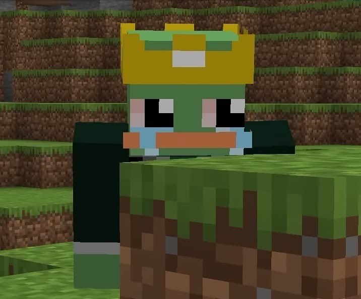 Lolz1Melz's tweet photo. HES SO CUTE, HES LIKE A LITTLE BUG

#froggydude https://t.co/i0sILvwWaE