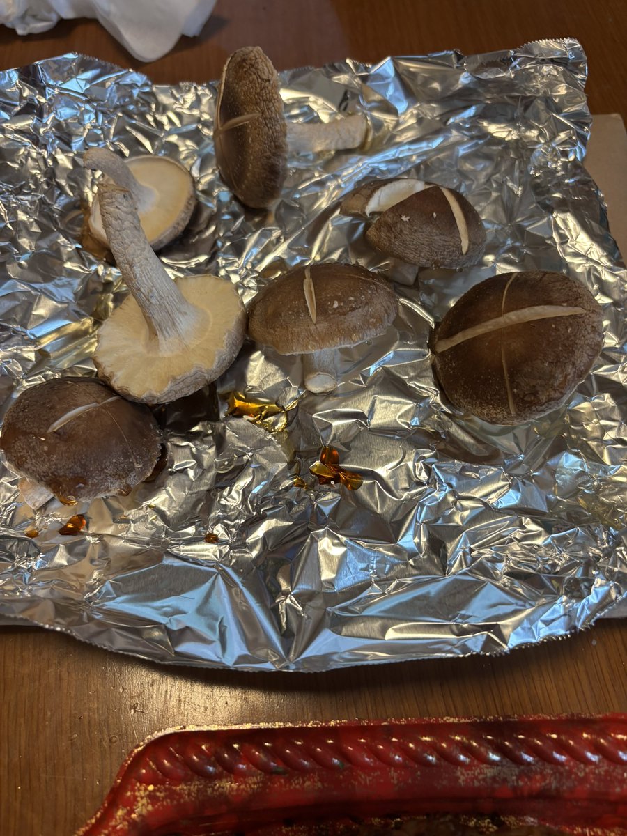 Tomo040501's tweet photo. しいたけ育って収穫できるものがあったので、シンプルにポン酢かけて食べた！！
めっちゃ美味しかった〜
 #桃川ニジマス https://t.co/v3og1GVc5r