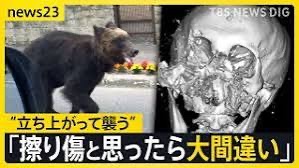 momomotintin's tweet photo. 現実を知らないなら教えてあげますね
「運良く」生き残ってもこうですよ

最低限の勉強すらせずにチンケな愛護論を振りかざす方が馬鹿で外道です

まともな人になりたかったら勉強しましょうね😅 https://t.co/MRKPhUzzlX