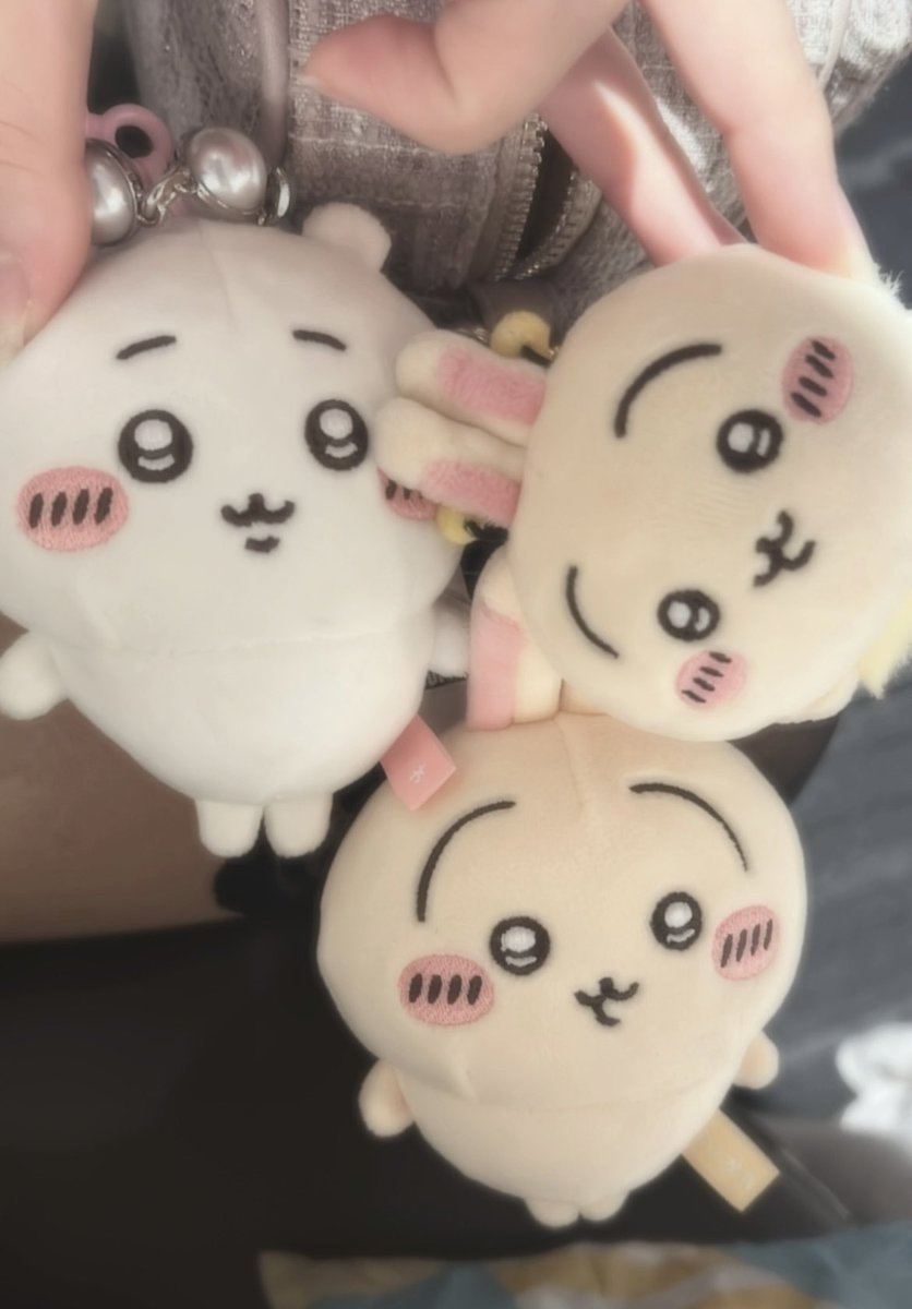 Lfcj552's tweet photo. 新しくお出迎えしたﾉｰﾏﾙﾔﾊとﾊﾁﾔﾊとちいちゃんかばんにつけた〜-  ̫- https://t.co/jof7BIgEFy