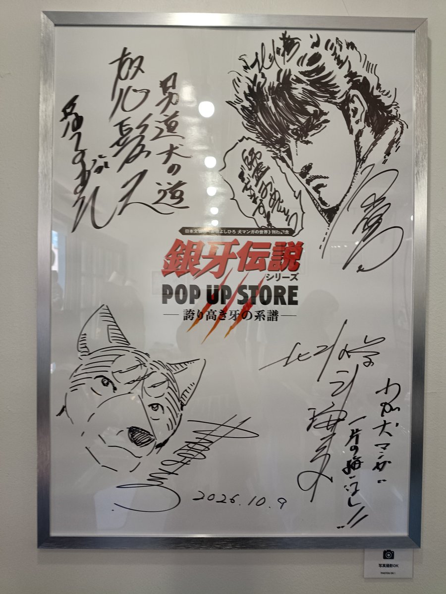 kyoko_ddt's tweet photo. 銀牙のポップアップなんて夢？
おまけに怒髪天とコラボTもあるとか私に都合が良すぎるからやっぱり夢？
って思ったけど夢じゃなかった！
#銀牙POPUP https://t.co/lJ4LSRcKeF