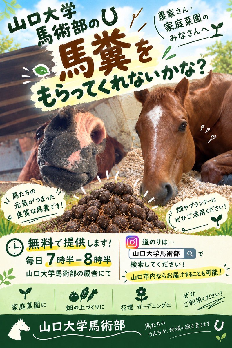 Apolloo_Yamadai's tweet photo. 【馬糞を無料でお譲りします🐴🌱】

山口大学馬術部の馬たちから、
元気のおすそ分けです💪
馬糞を肥料として、農業や家庭菜園、
ガーデニングなどに活用してみませんか？

ご協力よろしくお願いいたします！
 #山口大学馬術部 #山大馬術部  #肥料 #馬糞 #家庭菜園 #農業 #ガーデニング https://t.co/CJwulal3SJ