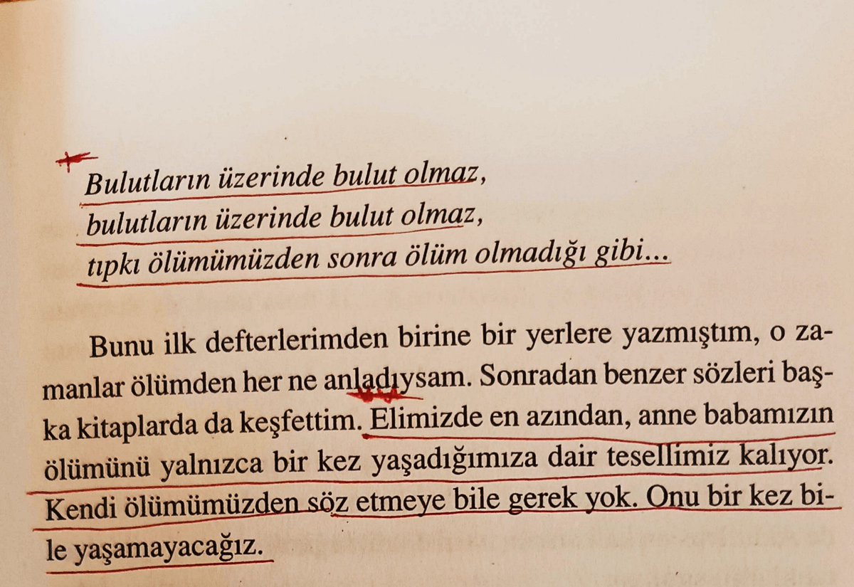 kirmiziibalikkk's tweet photo. https://t.co/LIcyCDry9l
