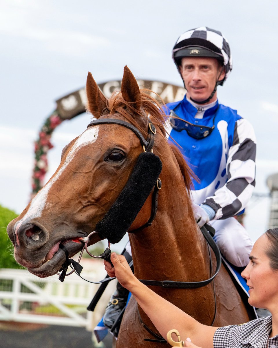 RaceQLD's tweet photo. 🏆🏆

Black type racing returned to Eagle Farm today 

🏆 Chillaxing | Queensland Cup
🏆 Kintyre | Tattersalls Members Cup 

#QLDisRacing 🐎 https://t.co/LWfrZpKEps
