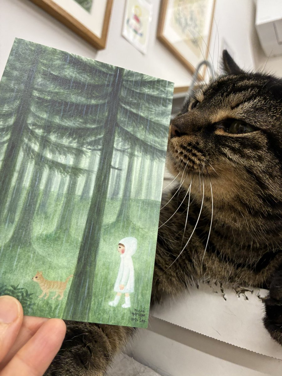 torigoemari's tweet photo. Sprout Books &amp; Art さんから、個展のDMが届きました。

作品制作を優先しつつ、隙間の時間で少しずつ書いて送ります。

「オレのえもかいてくれるのか？」
（by コビー）
たぶん、小さく描きますよ。

個展「dark forest」
10/31〜11/29
@SproutBooksArt 

#個展darkforest
#小心者コビー https://t.co/jcSDADQjXt
