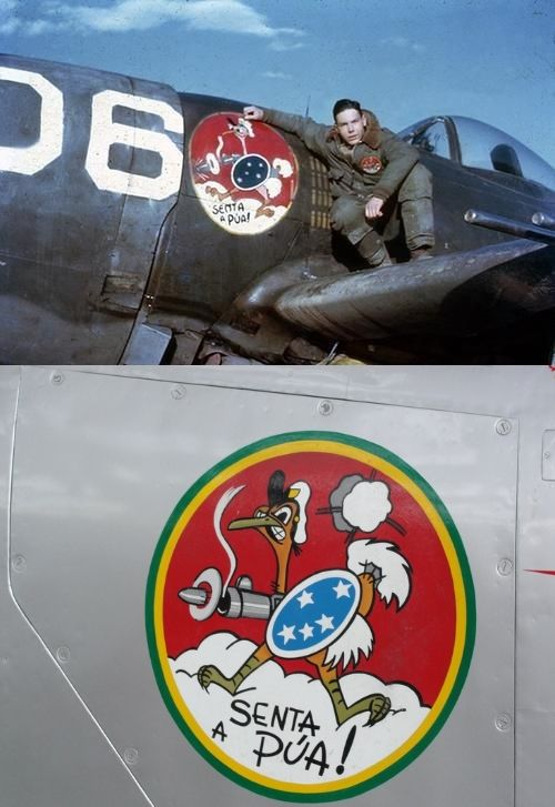 thehemisphere20's tweet photo. 🇧🇷P-47D Thunderbolt and the “Senta a Pua!” Emblem - 1944 https://t.co/HNNNNwWkJm