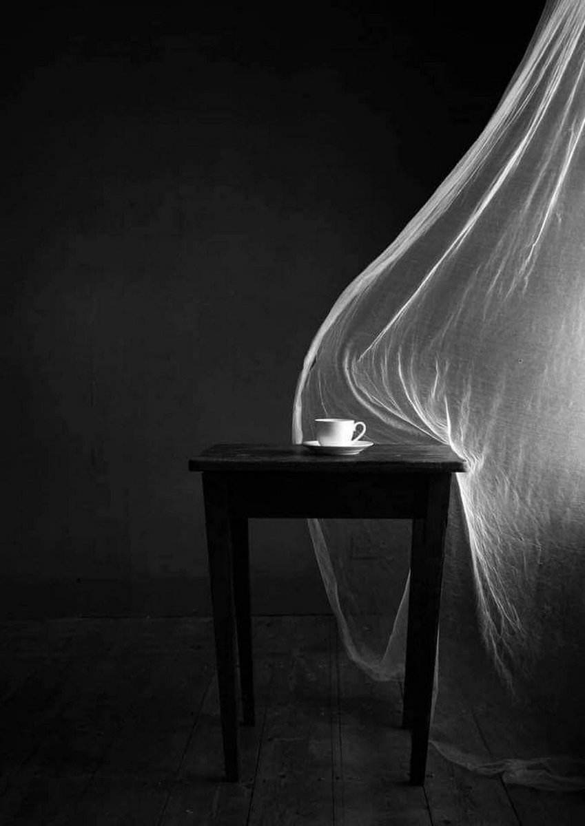 CasaLettori's tweet photo. Non ascoltare i consigli delle persone, ma solo quelli del vento che passa e ci racconta le storie del mondo.
Claude Debussy
#InCompagniaDelVento a #CasaLettori https://t.co/hVwfDJ2qjd