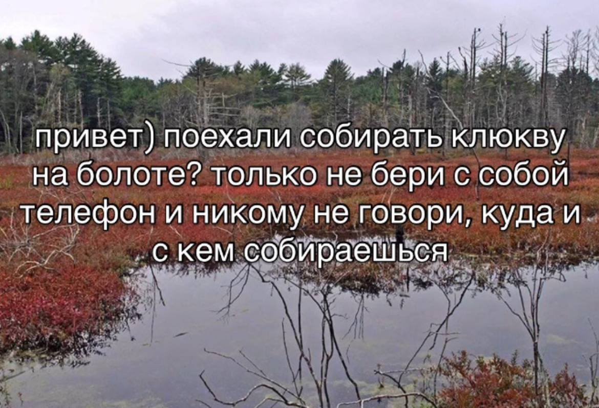 steppentiger's tweet photo. Доброе утро. https://t.co/h3jkQZdxkH
