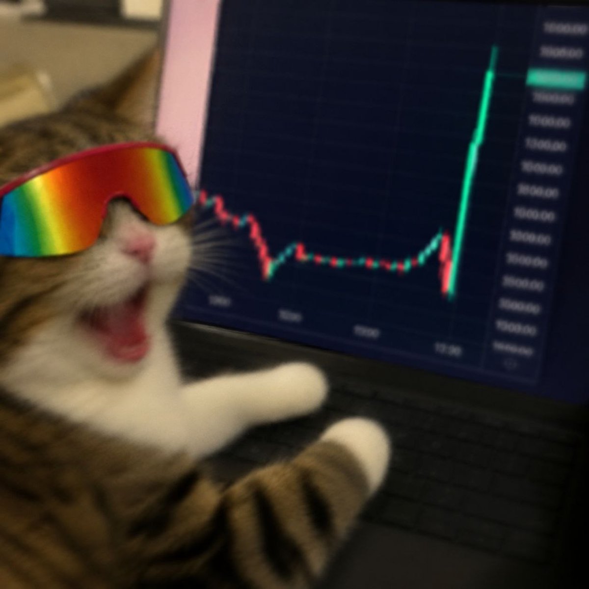 Adri_vxns's tweet photo. solana:DdcLYo8T6gniuLjYPsAHqASC1ViTaMyPwKEVWFqYpump is getting a new ATH soon...

buy now before it hits 150k! https://t.co/k6SKGg8OL3