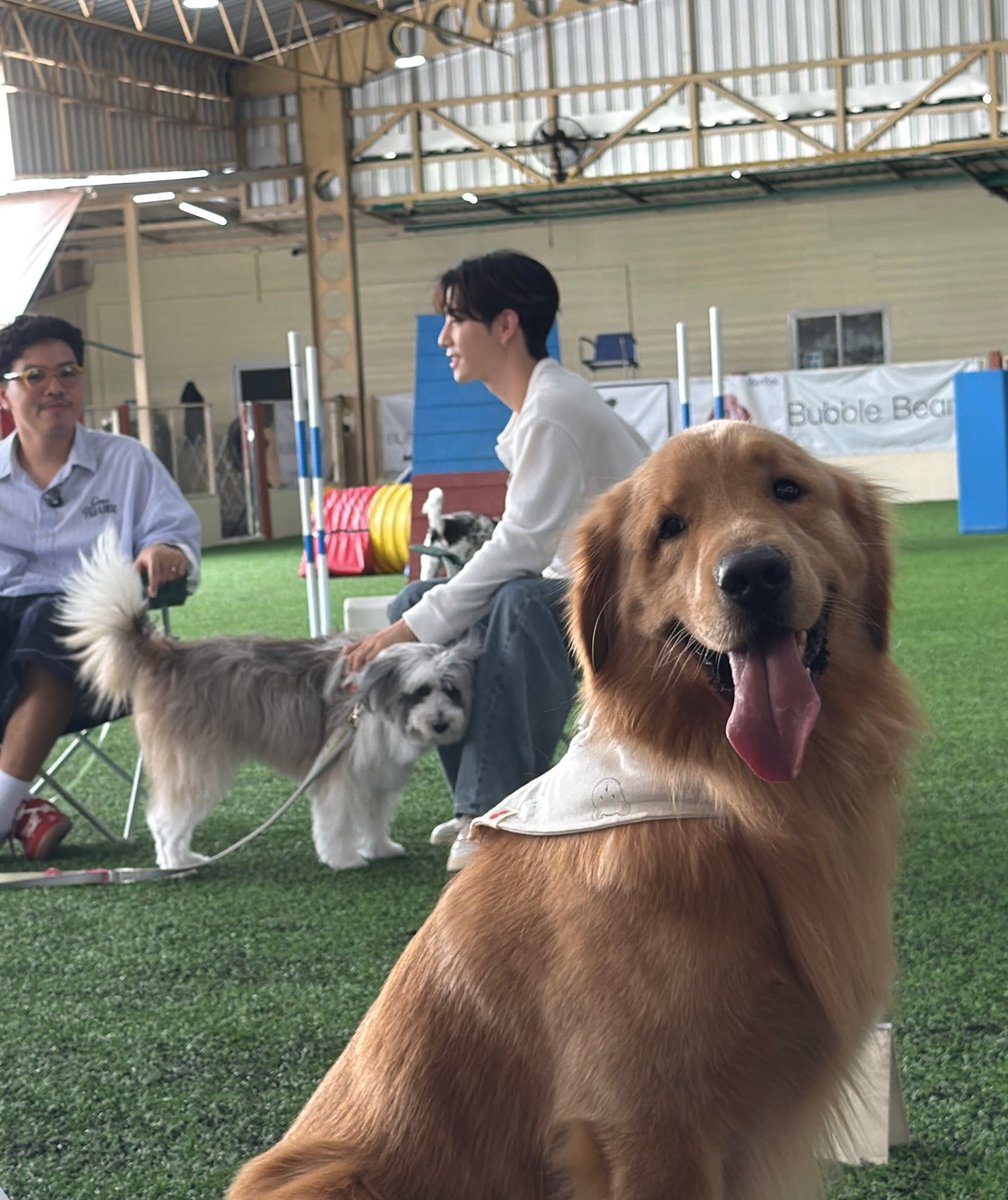 jrymay_'s tweet photo. รูปนี้คือ55555555555 (ลูกชิ้นเกินไปมากกกกกกก) https://t.co/OOsSn0MFeo