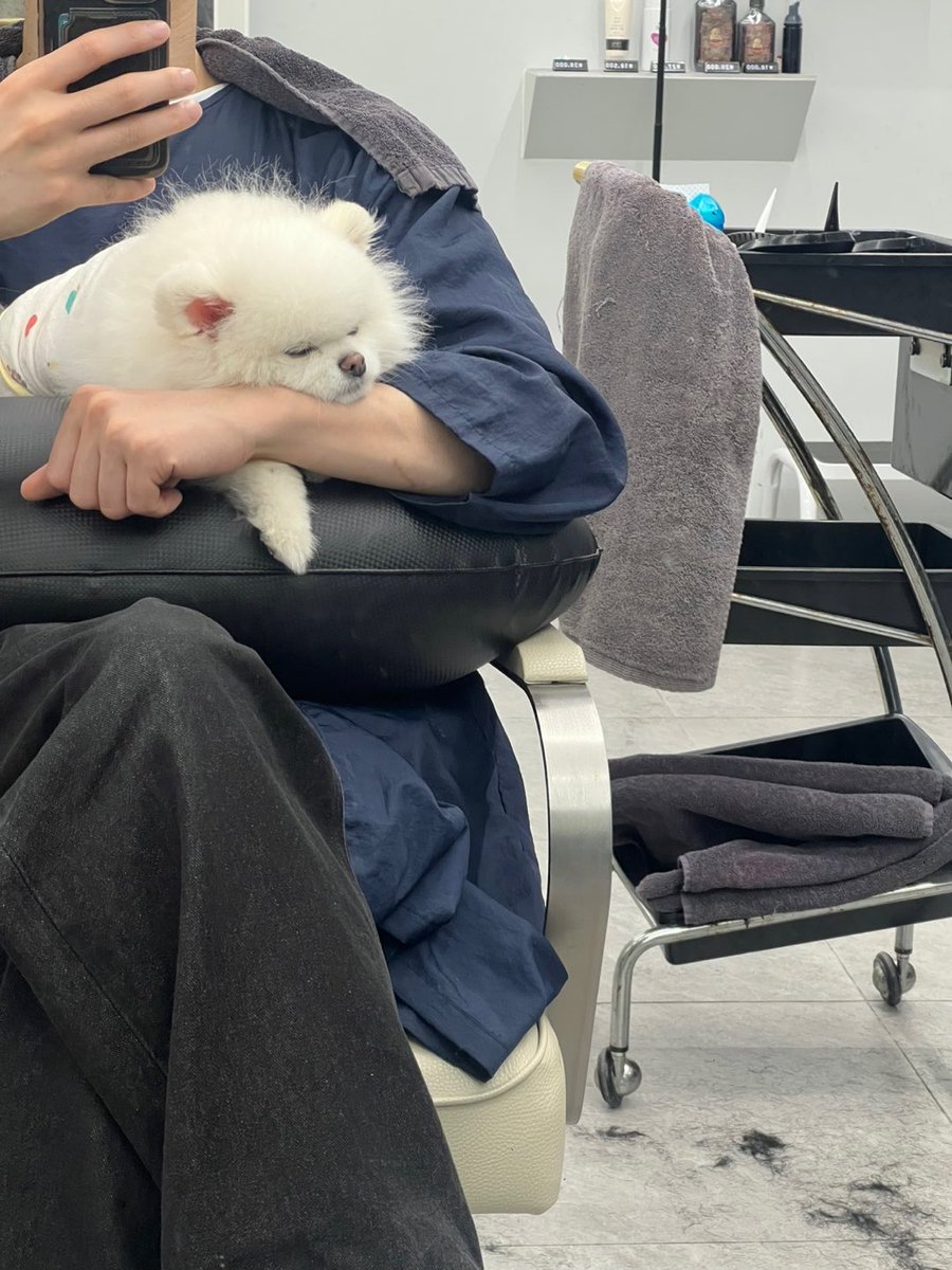k0okk3's tweet photo. 완전민들레그자체 https://t.co/BjtbHOe9FL