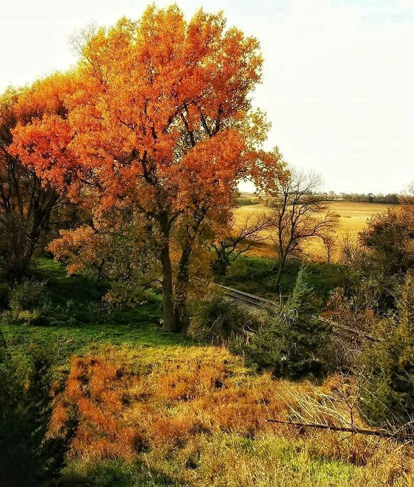 StephaniDenz's tweet photo. Certain changes sneak up on us slowly. How do you handle quiet shifts? 🍁 https://t.co/kXpZHPhhLZ