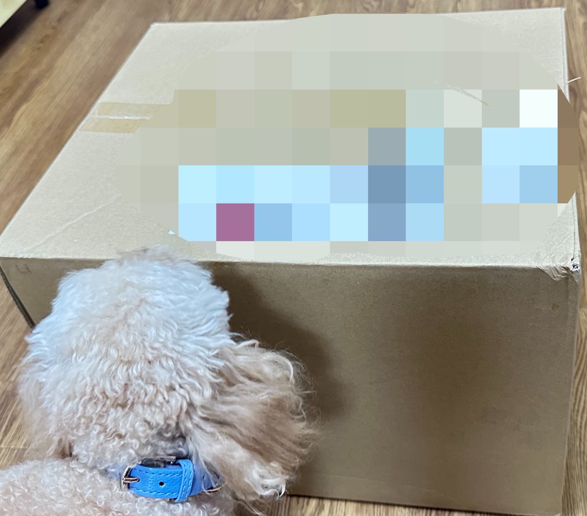 Inuka_Kitune's tweet photo. #ゴジュウジャー
デカいのがバンダイから来ました。
えぇそうです。テガソードメモリアルエディションです。
本来8月に到着予定で2か月以上遅れた誕生日プレゼントですはい。
評判の割にそこまで悪くないと思うのが正直な感想。
もう少し届くの先だと思ってたよ。 https://t.co/3rxvclEp0u