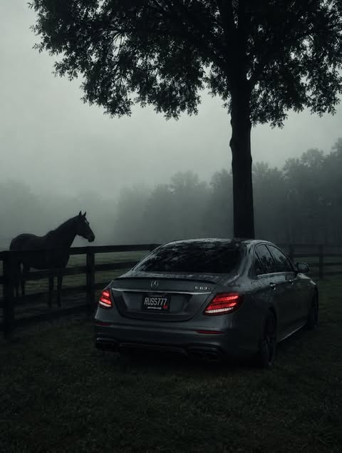 omeLuxe's tweet photo. Mercedes-AMG E 63 S⚡️
From past to future⏳ https://t.co/t9YxqAtpni