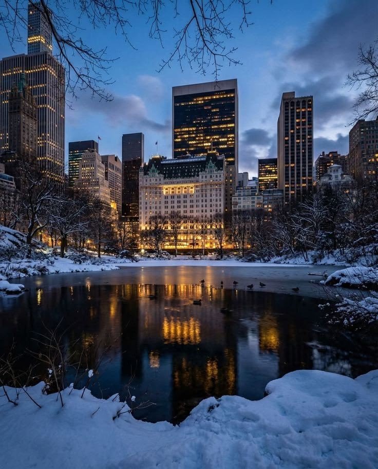 NaturalWorld515's tweet photo. Central Park New York https://t.co/Ty3ERyH1AG