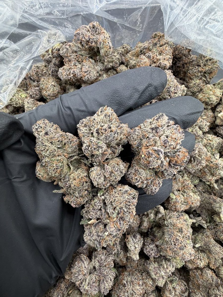 weedplugggg's tweet photo. Cherry Swirl 🍒 🍭
#cannabis #cannabiscommunity #weed #marijuana #cbd #thc #cannabisculture #weedporn #weeduk #hightimes #hemp #stoner #indica #sativa #maryjane #medicalmarijuana #highlife #kush #ganja #growyourown #weedlife https://t.co/FvjALeO9yu