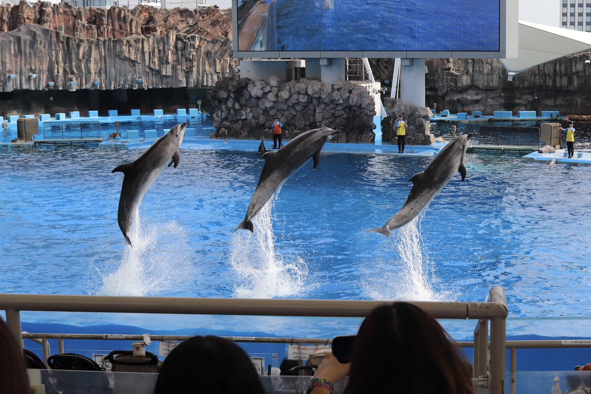 yu_m_ta's tweet photo. 名古屋港水族館よかった https://t.co/ihQpFsQxPb