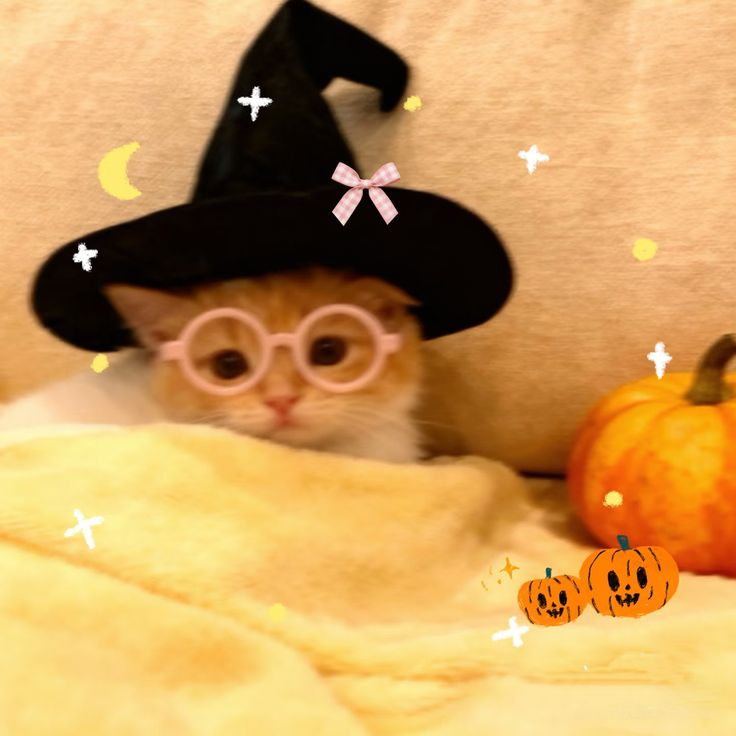 laluboux's tweet photo. 𓆩🎃𓆪 𝓽𝓻𝓲𝓬𝓴 𝓸𝓻 𝓽𝓻𝓮𝓪𝓽 ! ˚⁎⁺˳🦇

pins all type ꒰ྀི´ ˘ ` ꒱ྀིა ♡

🕸️ halloween special ! ૮꒰ ˶• ༝ •˶꒱ა
🎟️ 2 pins ♡ 66 thb !

🗓️ now - 30 oct

🎀 dm “peek a boo” to order 👻
୨୧ ───────────── ୨୧ https://t.co/01VZoCoB5M