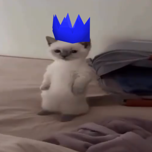gampsito's tweet photo. cute cat giving me michi vibes.

stand up.

Miu https://t.co/8Xz5E0aKA5