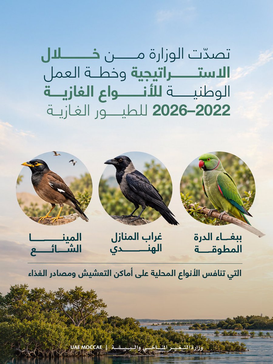 MoCCaEUAE's tweet photo. https://t.co/I0sWFEA5d8