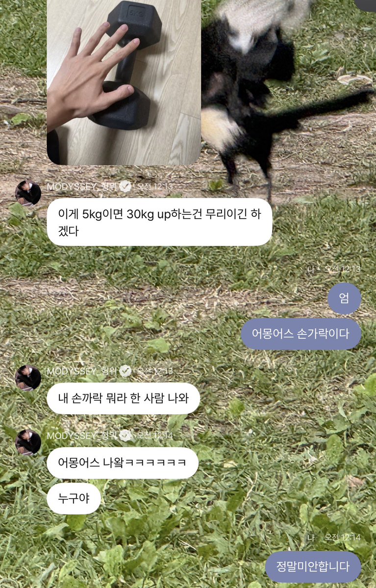 iwssueyou's tweet photo. Sorrysorry https://t.co/KiBevFgAkn