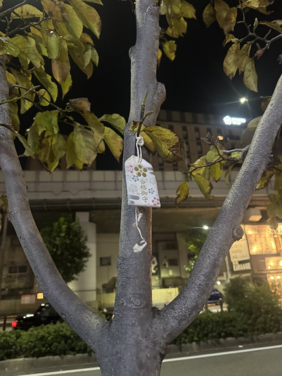 qkira_nicobar's tweet photo. 落ちてた合格祈願上にあげといた
受かると良いね、頑張れ受験生 https://t.co/kfZoxVCjI5