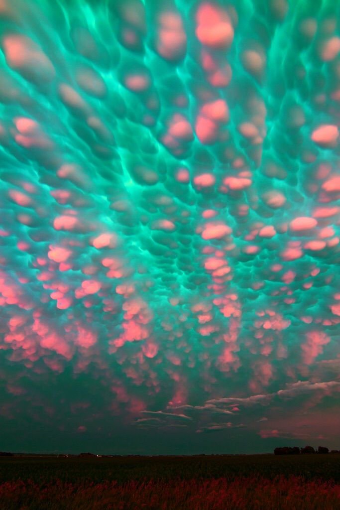 natureaest's tweet photo. Magical Bubble cloud. <3 https://t.co/i59DxRjJoc