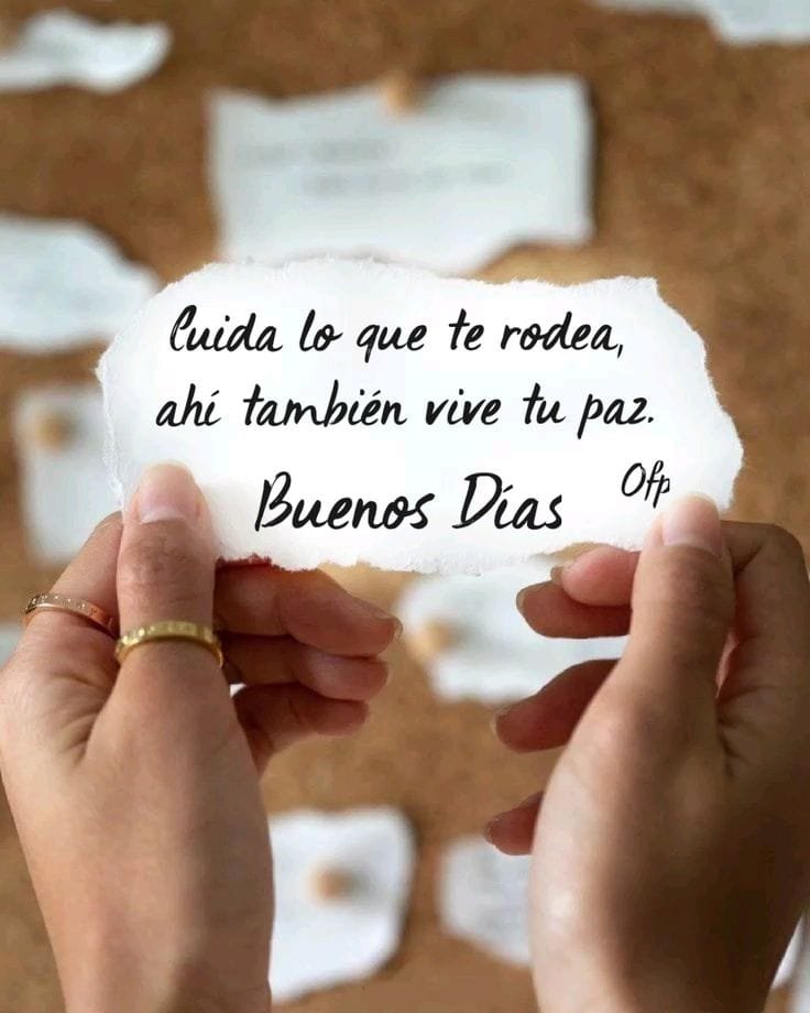 DayanaCruella's tweet photo. 🍂🌞

Buenos Días.🦋
Feliz Sábado.☕ https://t.co/hpy3FSsg0M