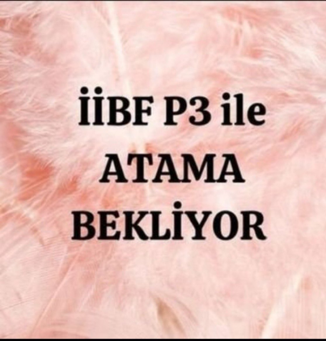 Mervezeynebs's tweet photo. #iibfkadro Genel İdare kadroları İİBF mezunlarının hakkıdır. https://t.co/dHLpFhNBif