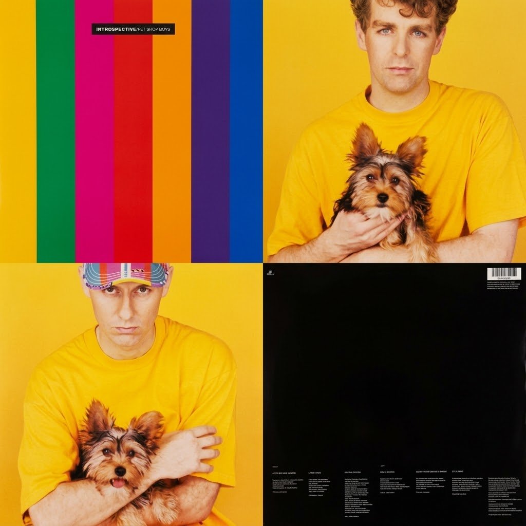 BobSpacewalk's tweet photo. 𝙄𝙉𝙏𝙍𝙊𝙎𝙋𝙀𝘾𝙏𝙄𝙑𝙀, es el tercer album oficial del duo Británico 🇬🇧 de música electrónica 𝙋𝙀𝙏 𝙎𝙃𝙊𝙋 𝘽𝙊𝙔𝙎, publicado #undiacomohoy 10 de octubre pero del año 1988.

#introspective 
#petshopboys https://t.co/uiqmiqKIUc