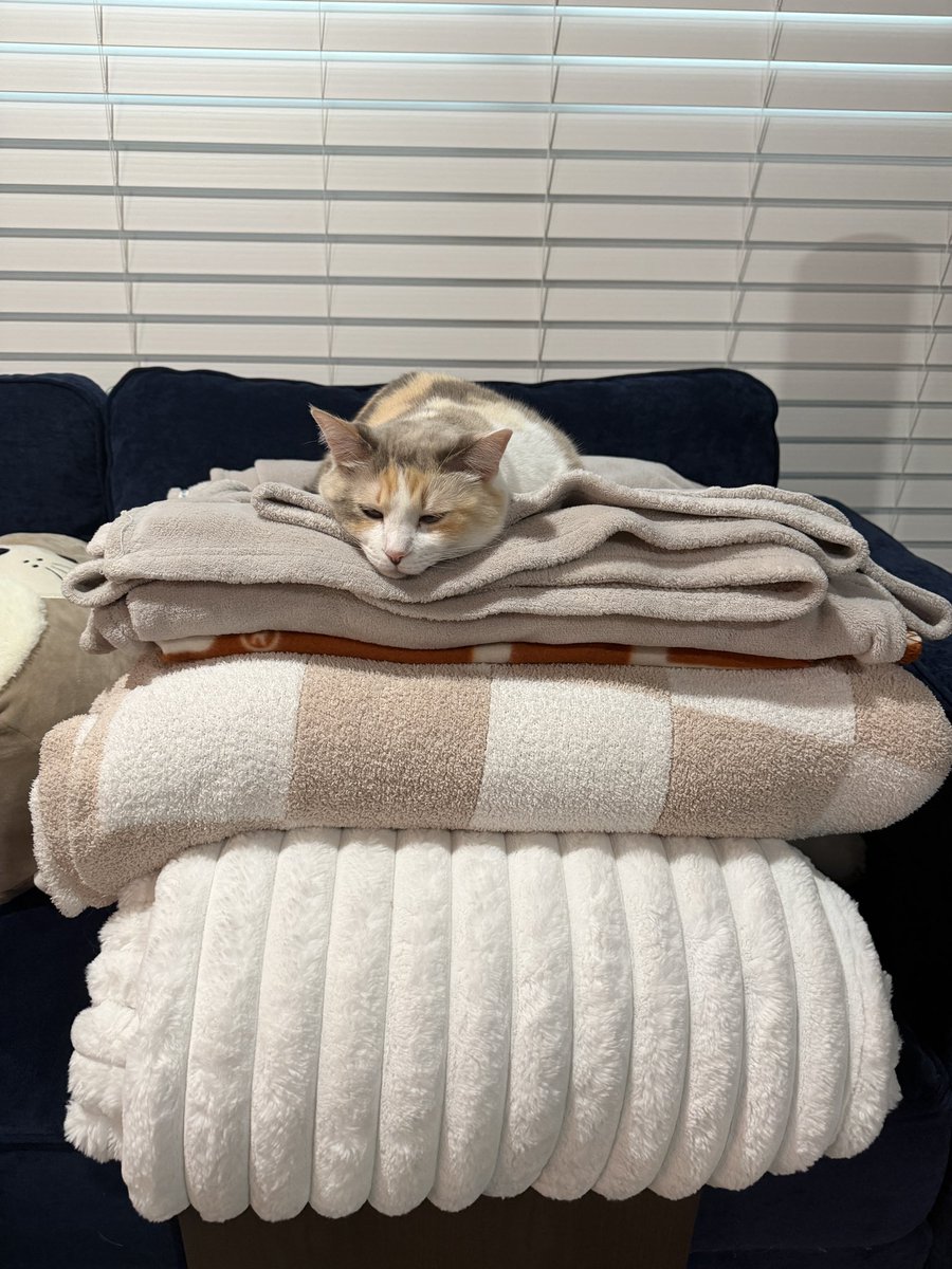 fatfatpankocat tweet picture