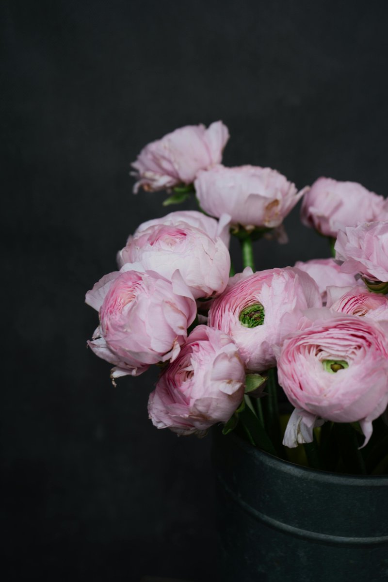 DavidRaj1746260's tweet photo. Sau cơn mưa, cỏ ven đường cúi xuống sau mưa. Ngày mai rồi cũng sẽ đến. Một cái tên cũ thoáng qua trong đầu. Tôi nhìn nó đi qua rồi mỉm cười ⭐ https://t.co/BtBthOKZ1H