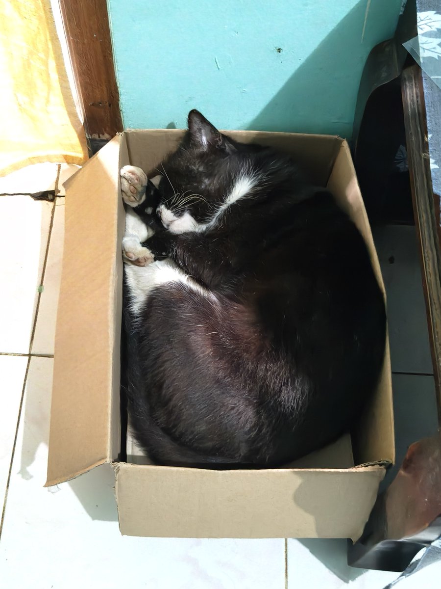 notrendame's tweet photo. rip bas, see you lain waktu yah. https://t.co/aNSVOnk2Zk