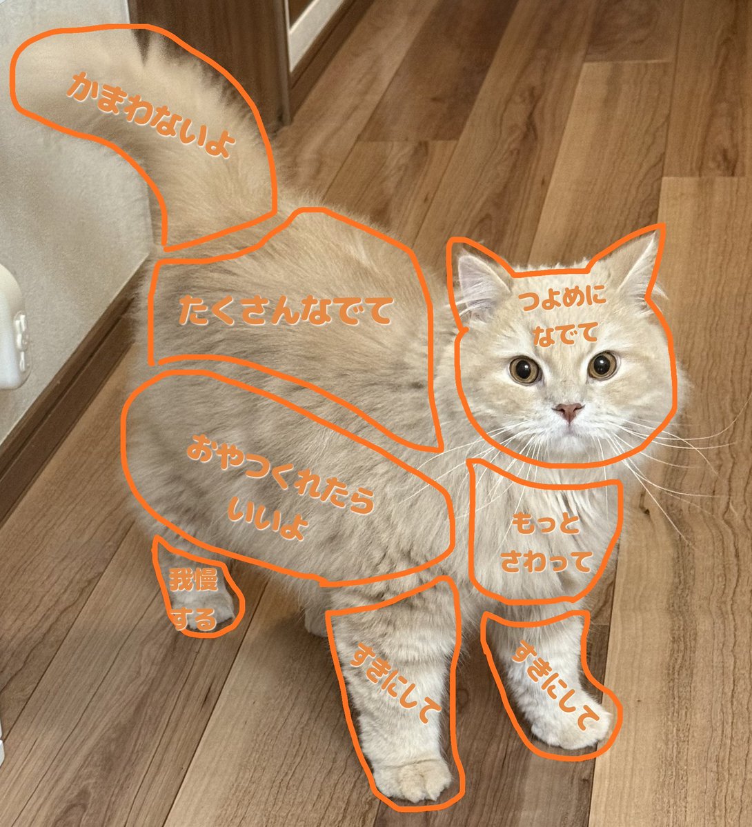 ____tukimineko's tweet photo. おさわりマップ公開 https://t.co/mNEpBDp21c