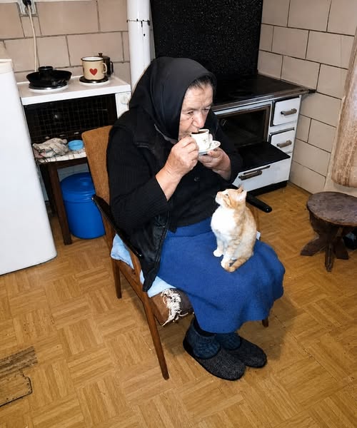Darekbrzoza's tweet photo. "Moja babcia mówiła:
Nie chodź tam, gdzie cię nie zaproszono.
Nie mów o tym, czego nie znasz.
Nie wtrącaj się w cudze sprawy.
Nie otwieraj lodówki w czyimś domu.
Nie dzwoń po 22:00 bez ważnego powodu.
Nie składaj wizyt w porze obiadu.
Nie wchodź do czyjegoś pokoju bez pozwolenia.
Kiedyś nazywano to po prostu dobrym wychowaniem.
Dziś niektórzy mówią, że to „stare zasady”.
A tak naprawdę to… szacunek.
Szacunek do czyjejś przestrzeni.
Do czyjegoś czasu.
Do granic innych ludzi.
Do czyjegoś życia.
Moda się zmienia.
Słowa się zmieniają.
Ludzie się zmieniają.
Ale prawdziwa kultura osobista nigdy nie wychodzi z mody.
Bo takt to coś, co zawsze ma wartość.
To znak człowieka, przy którym czujesz się spokojnie. ❤️"
za  Kawa z mlekiem