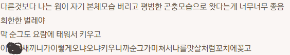 __G1_S30l's tweet photo. 백궁깨고 순그잡다가 많이 빡친것같은 후세터 https://t.co/pH4O2XZ4yj