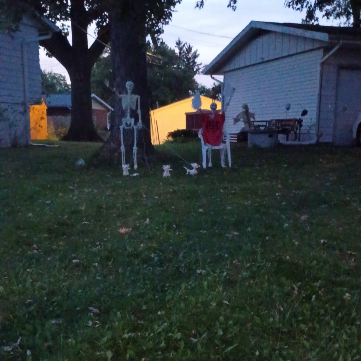 oddesGoddesNike's tweet photo. Those dogs are Zero from Nightmare Before Christmas https://t.co/zLS46rqlr7