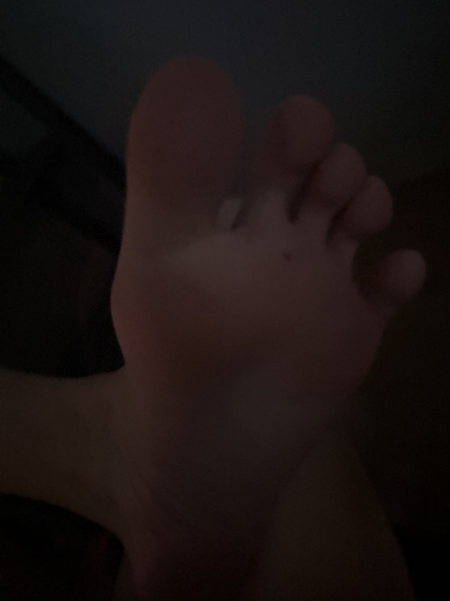 NDXZZ2008WW's tweet photo. 粉丝小狗吃晚餐 #足控 #反差 https://t.co/q8oTB0pzqX